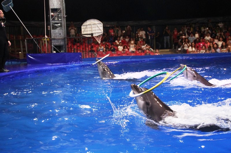Beirut Dolphinarium