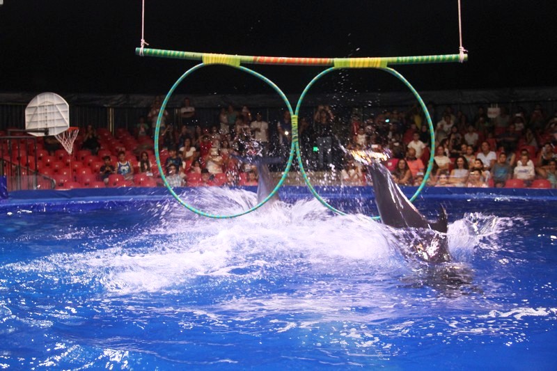Beirut Dolphinarium