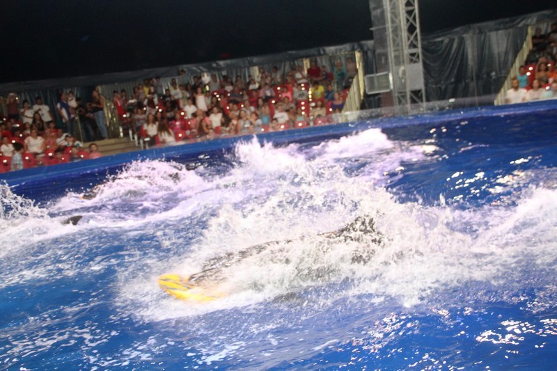 Beirut Dolphinarium