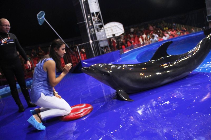 Beirut Dolphinarium