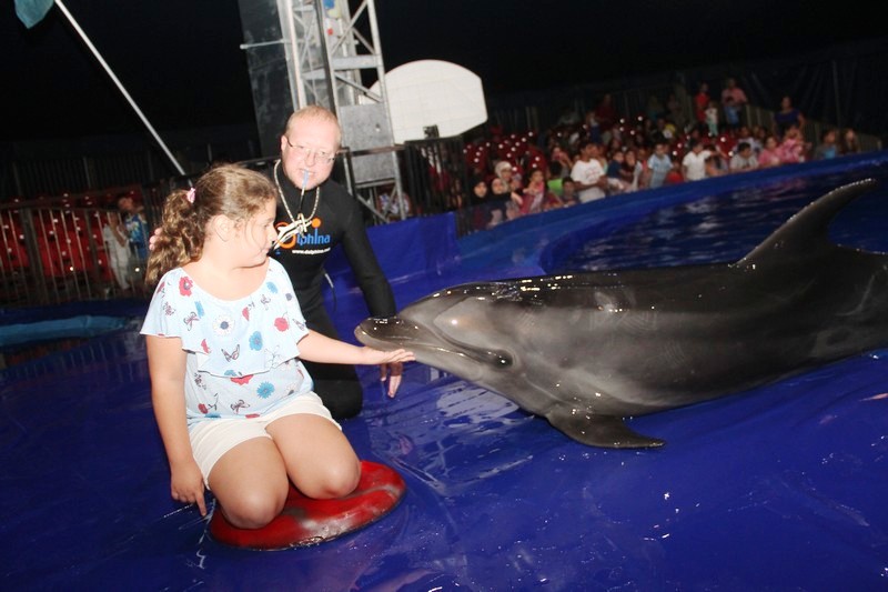 Beirut Dolphinarium