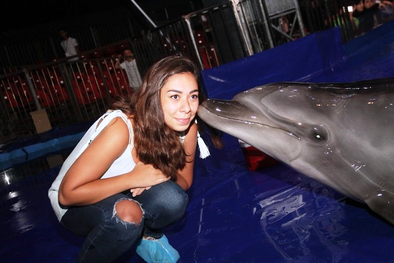 Beirut Dolphinarium