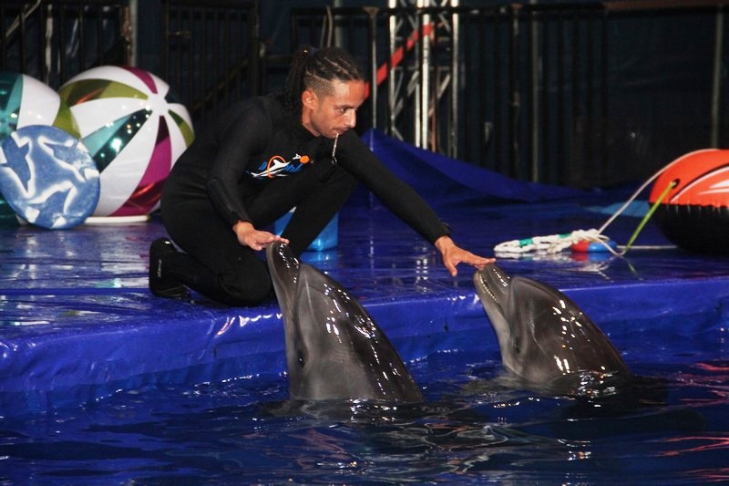 Beirut Dolphinarium
