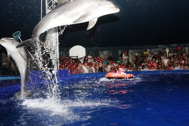 Beirut Dolphinarium