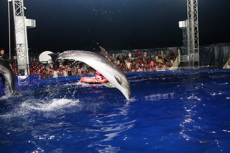 Beirut Dolphinarium