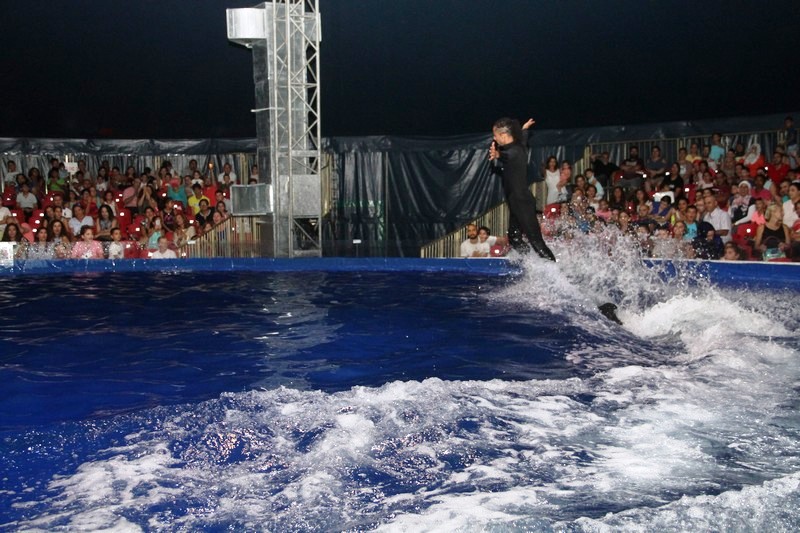 Beirut Dolphinarium