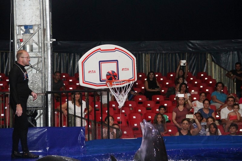 Beirut Dolphinarium