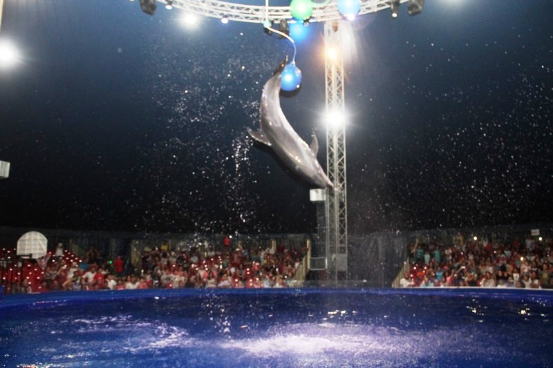 Beirut Dolphinarium