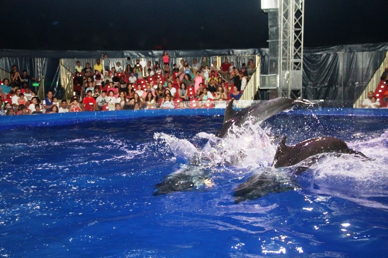 Beirut Dolphinarium