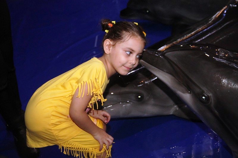 Beirut Dolphinarium
