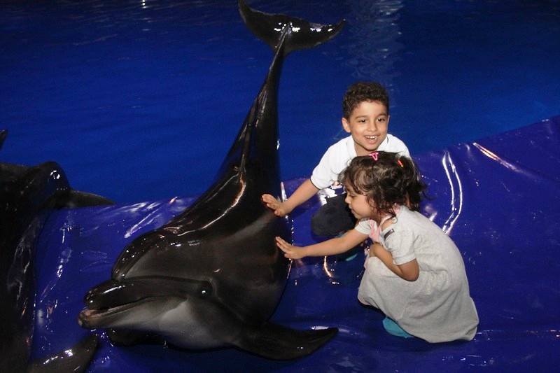 Beirut Dolphinarium