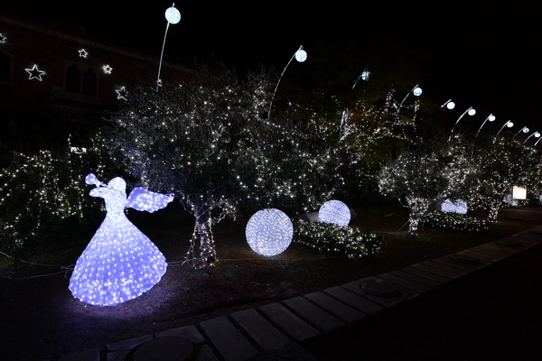 Christmas Decoration at Edde Yard