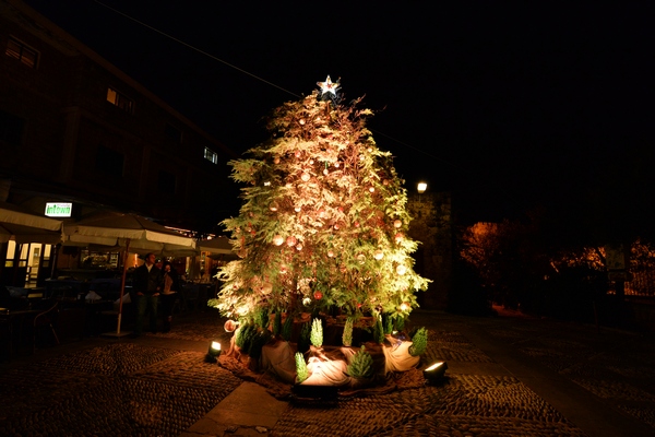 Christmas Decoration at Edde Yard