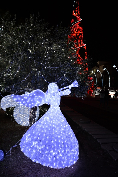 Christmas Decoration at Edde Yard