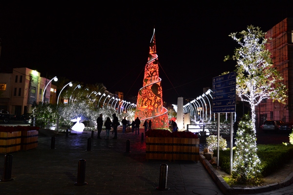 Christmas Decoration at Edde Yard