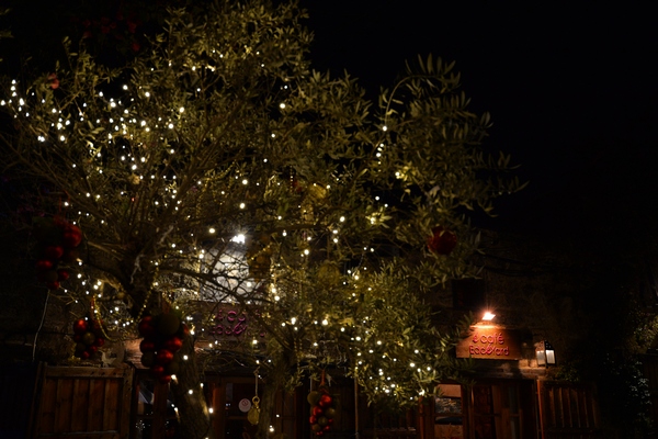 Christmas Decoration at Edde Yard
