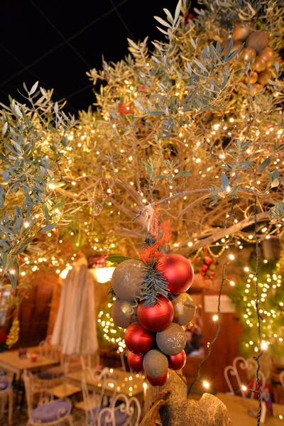 Christmas Decoration at Edde Yard