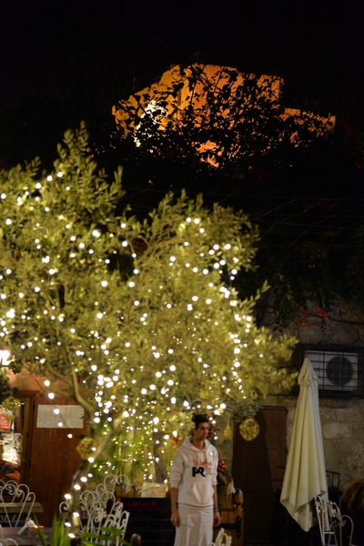 Christmas Decoration at Edde Yard