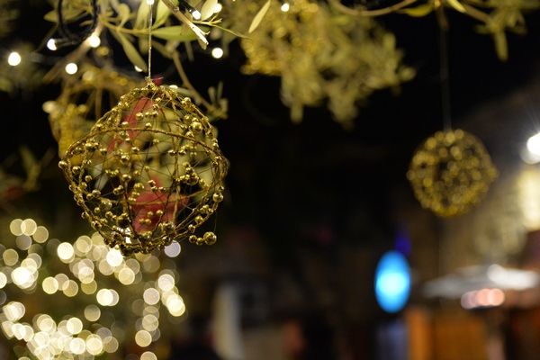 Christmas Decoration at Edde Yard
