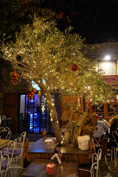 Christmas Decoration at Edde Yard