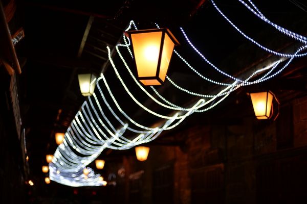 Christmas Decoration at Edde Yard