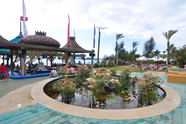 Edde Sands Sunday