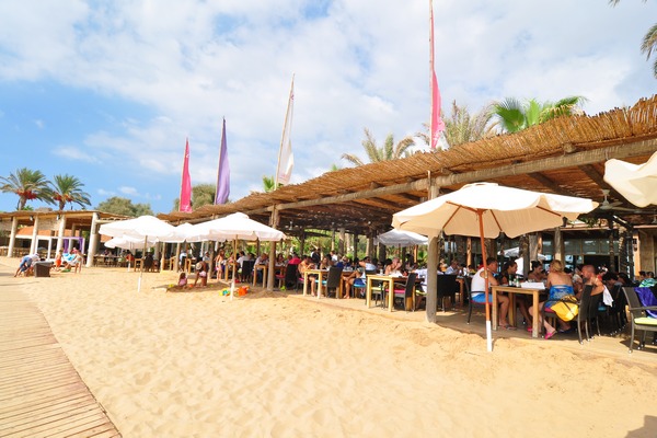 Edde Sands On Sunday