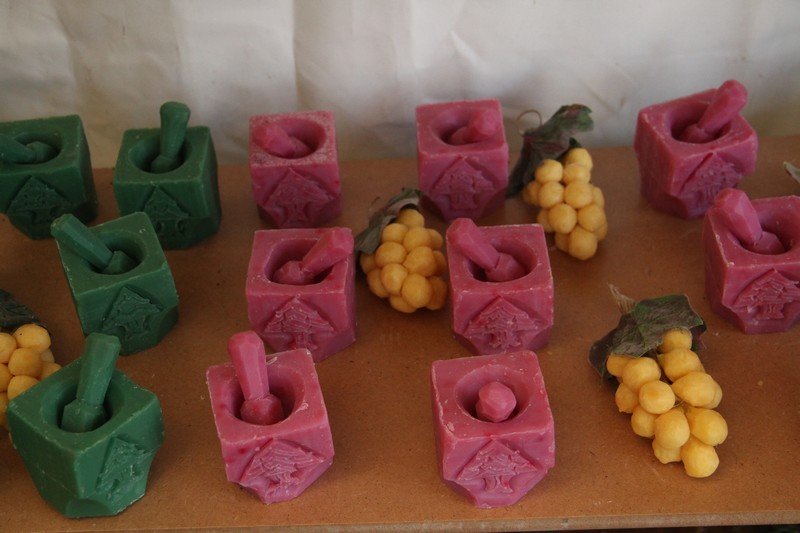 The Garden Show & Spring Festival