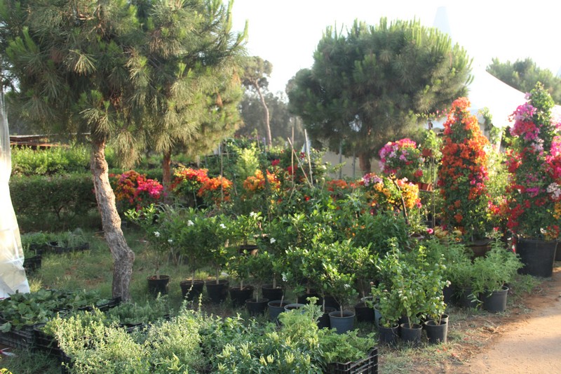 The Garden Show & Spring Festival