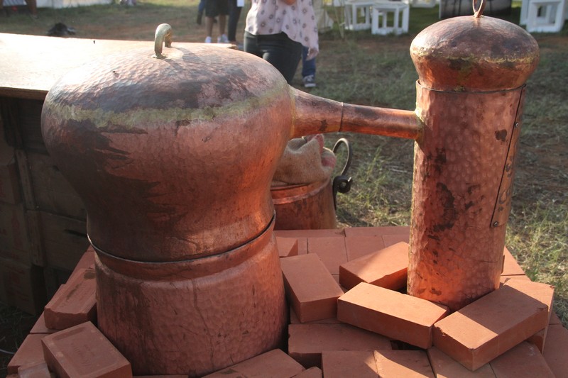 The Garden Show & Spring Festival