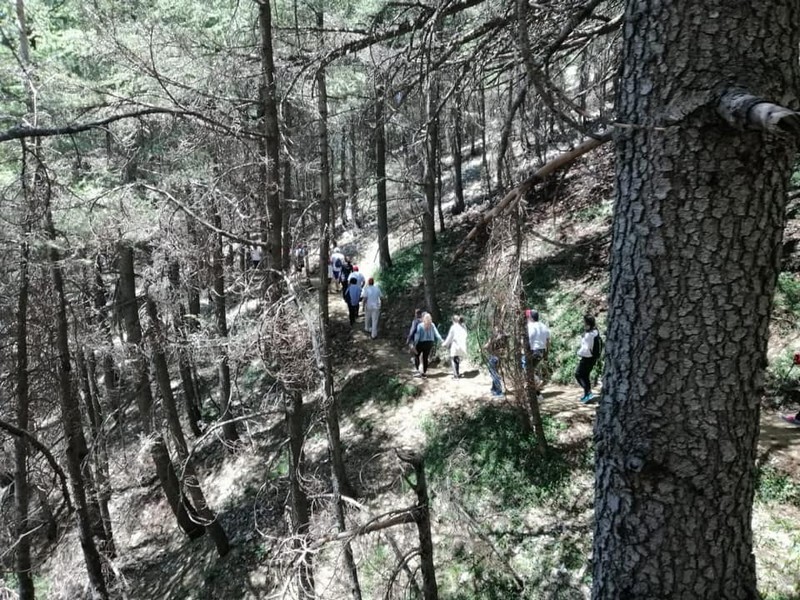 Hike for Heart Failure with LSC at Cedar Reserve Al Chouf