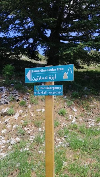 Hike for Heart Failure with LSC at Cedar Reserve Al Chouf