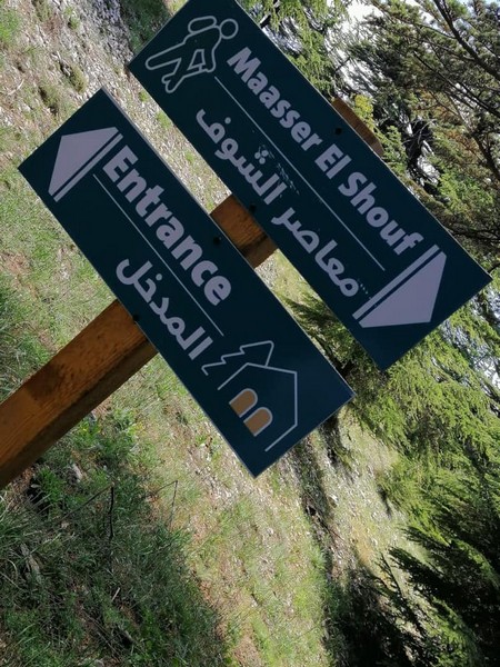 Hike for Heart Failure with LSC at Cedar Reserve Al Chouf