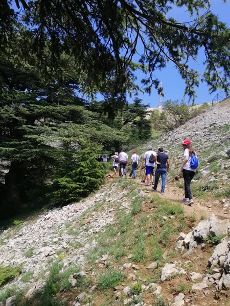Hike for Heart Failure with LSC at Cedar Reserve Al Chouf