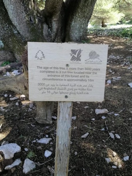 Hike for Heart Failure with LSC at Cedar Reserve Al Chouf