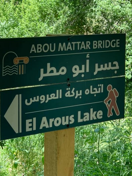 Hike for Heart Failure with LSC at Cedar Reserve Al Chouf