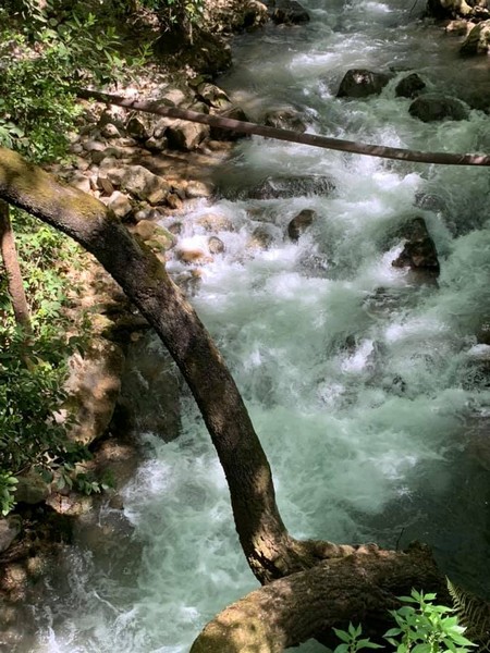 Hike for Heart Failure with LSC at Cedar Reserve Al Chouf