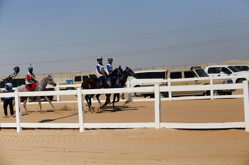 AlWathba Challenge
