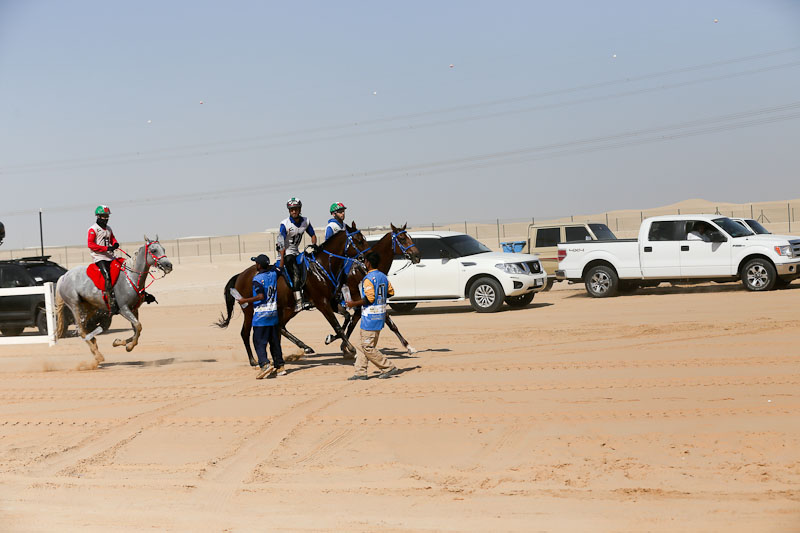 AlWathba Challenge