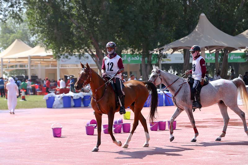 AlWathba Challenge