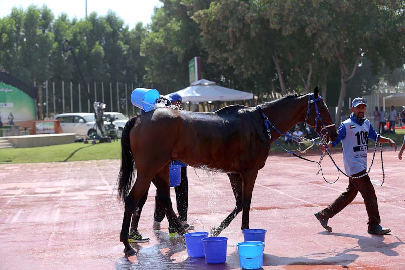 AlWathba Challenge