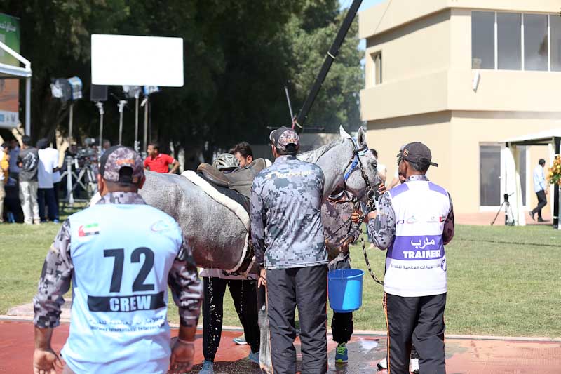 AlWathba Challenge