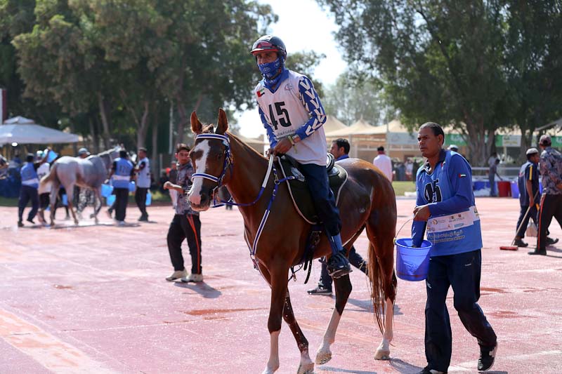 AlWathba Challenge