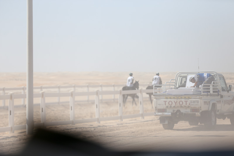 AlWathba Challenge