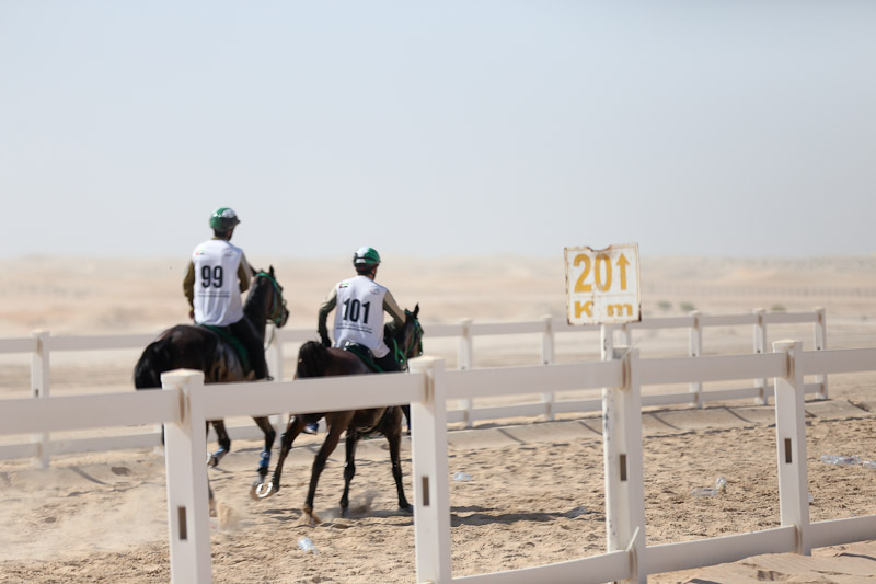 AlWathba Challenge
