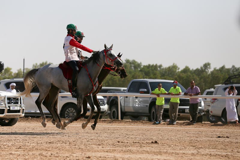 AlWathba Challenge