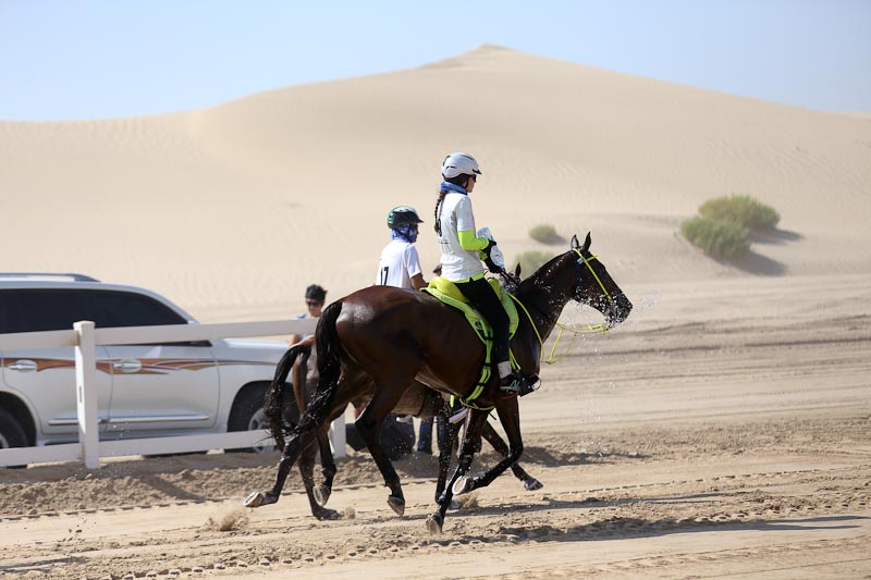 AlWathba Challenge
