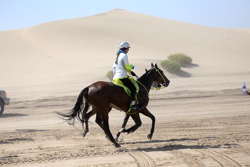AlWathba Challenge