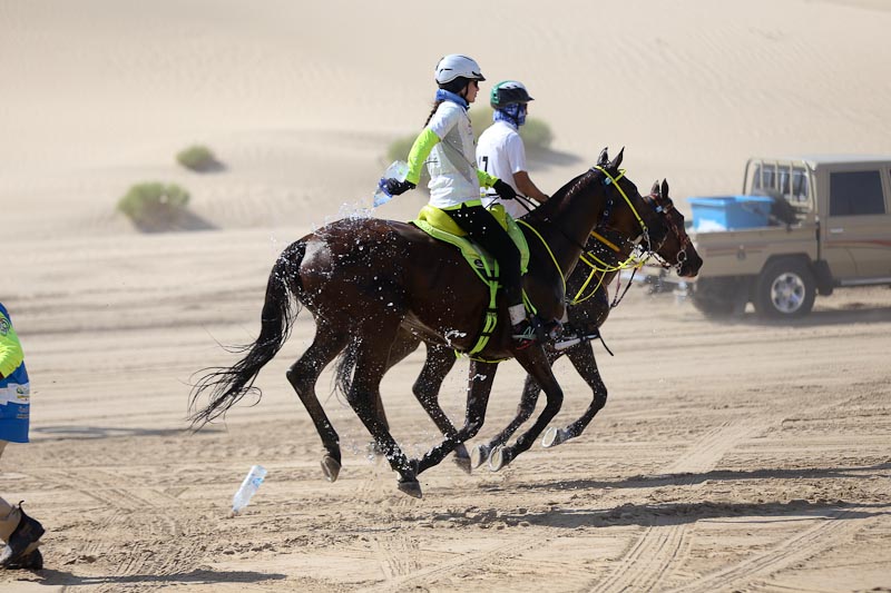AlWathba Challenge