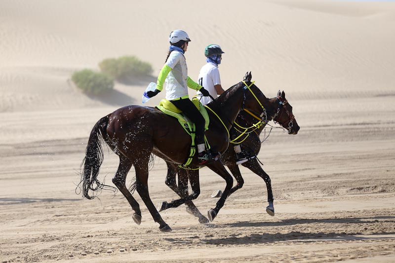 AlWathba Challenge